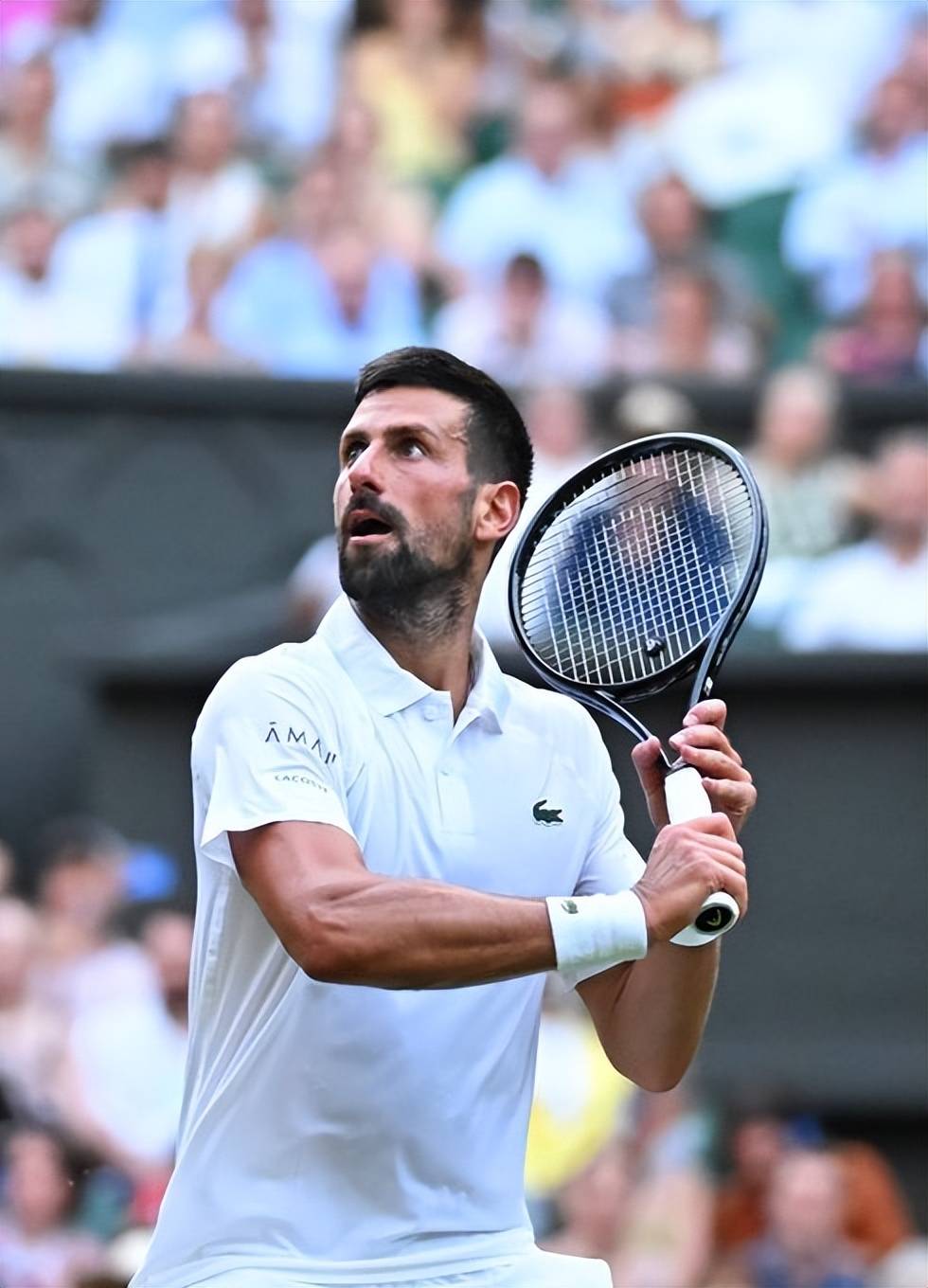 美网碾压温网,德约科维奇点燃赛场 美网碾压温网,德约科维奇点燃赛场