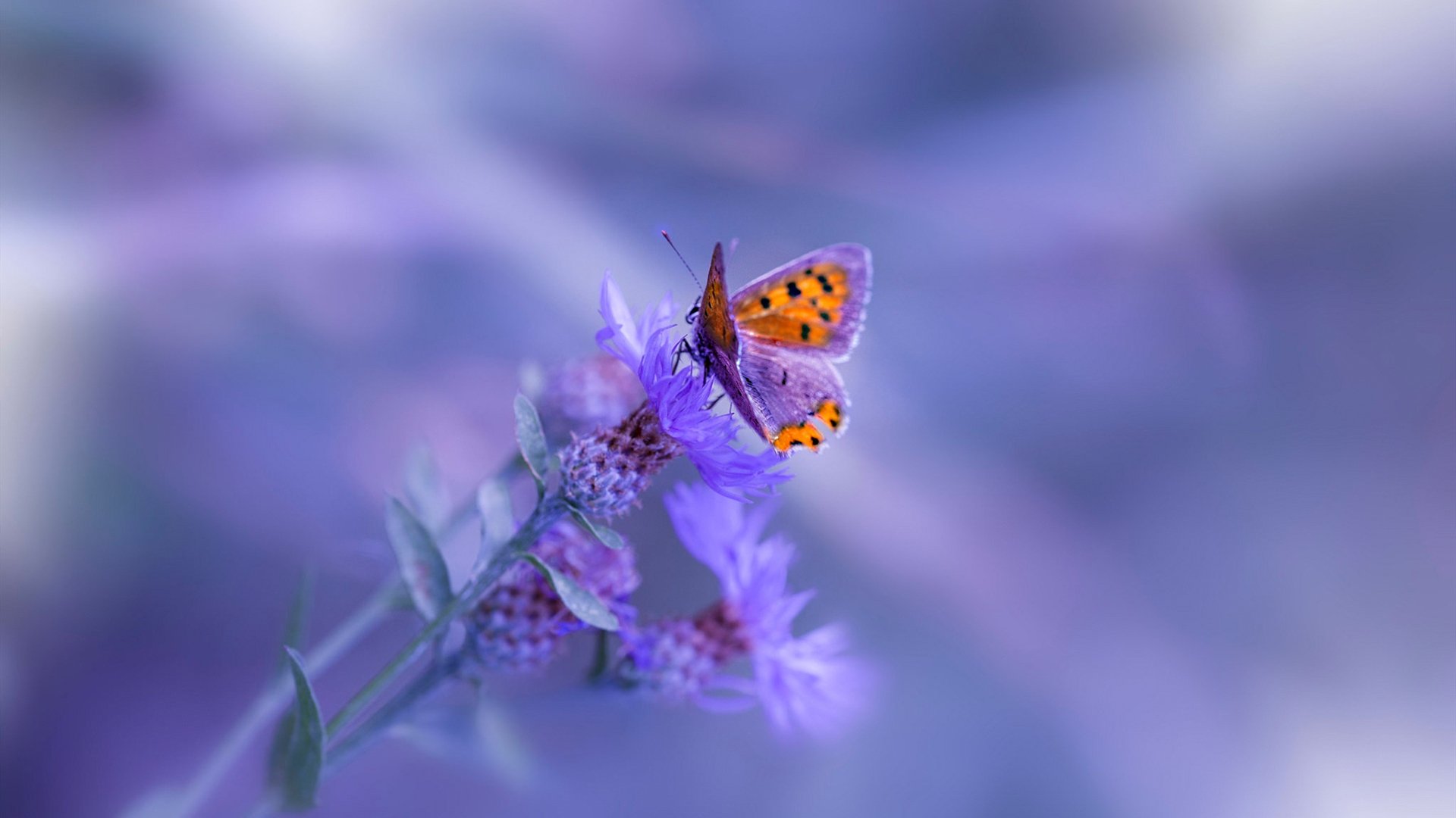 —当巴黎鏖战的烽烟中，一个名字以最出人意料的方式改写了与马德里竞技的宿命