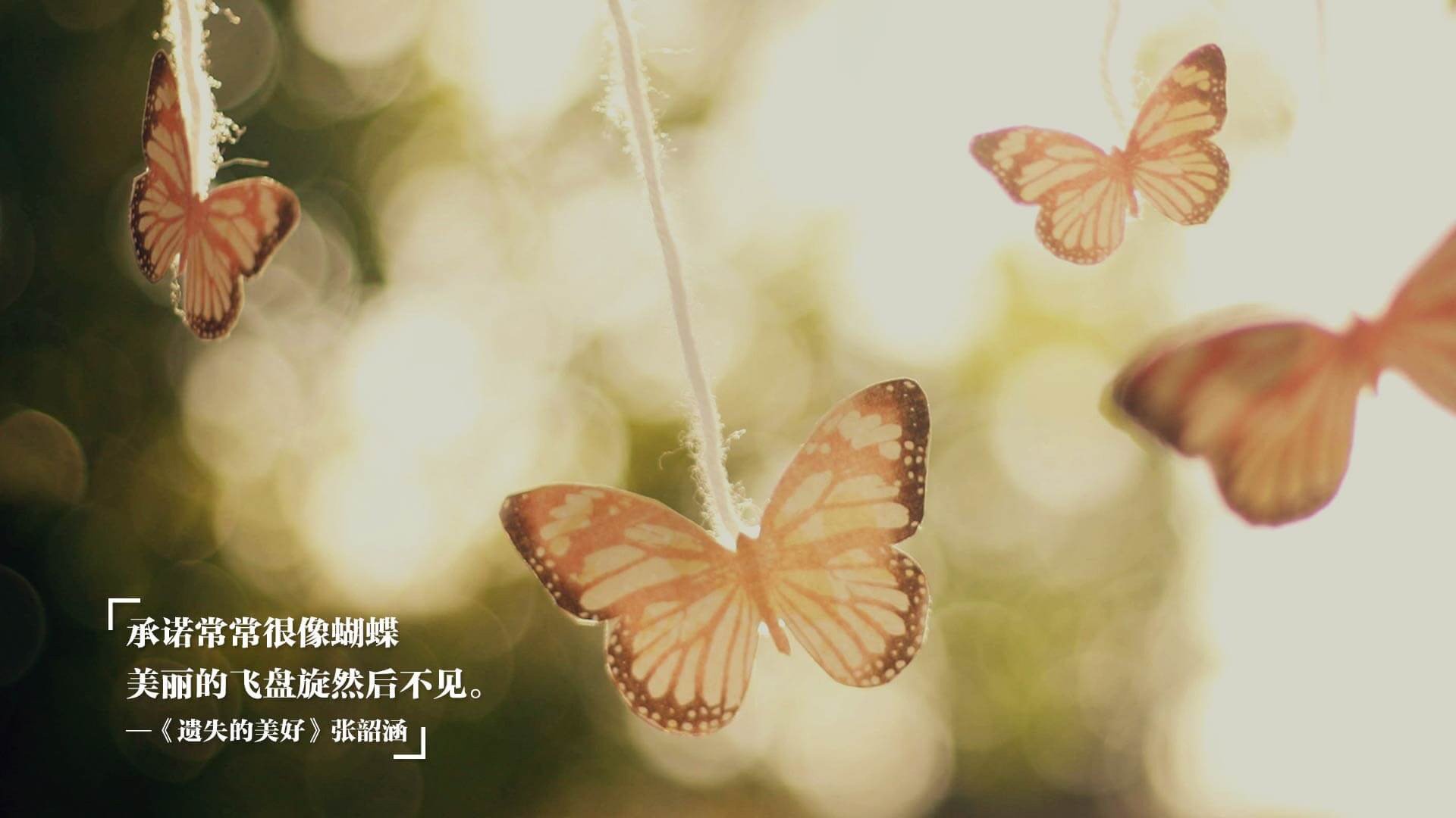 挪威森林的回响，战术纪律如何让个人火焰在集体寒潮中沉默？