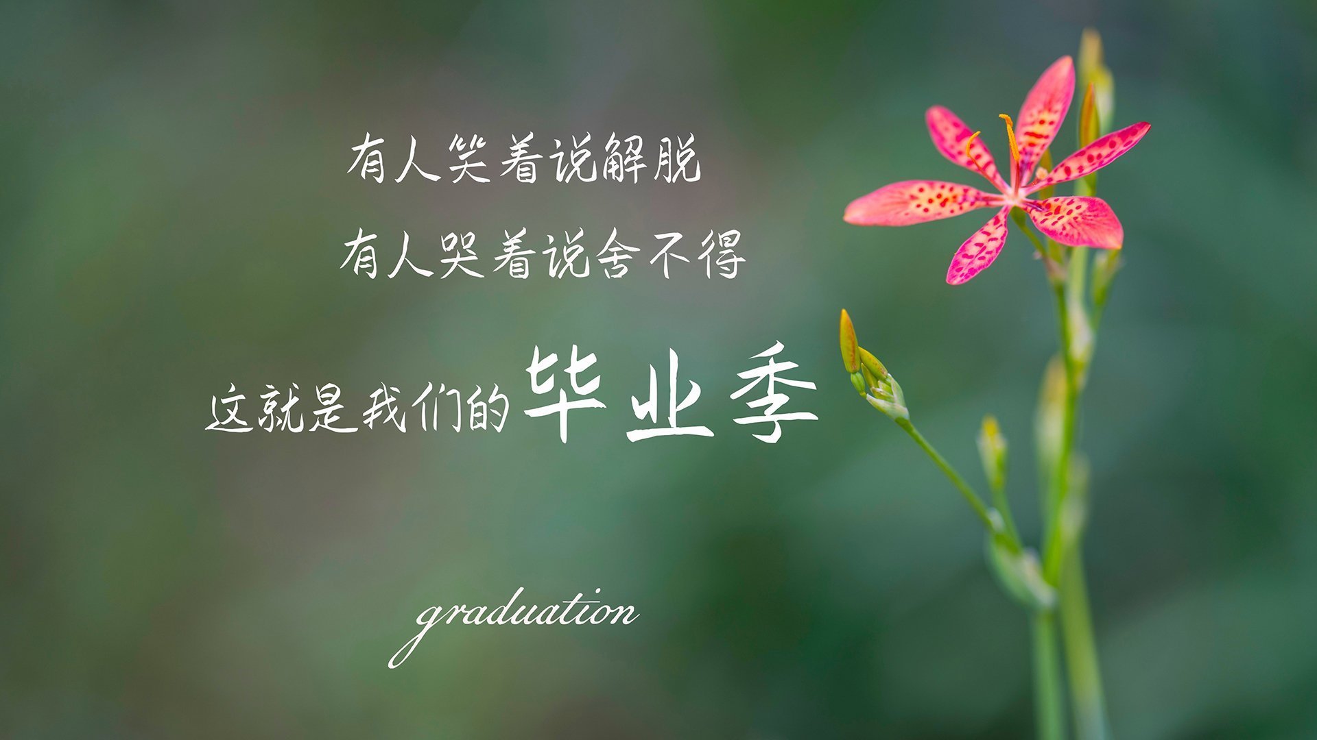 跨界的掌控者，当鹰爪撕裂篮筐，绿色闪电划破赛道