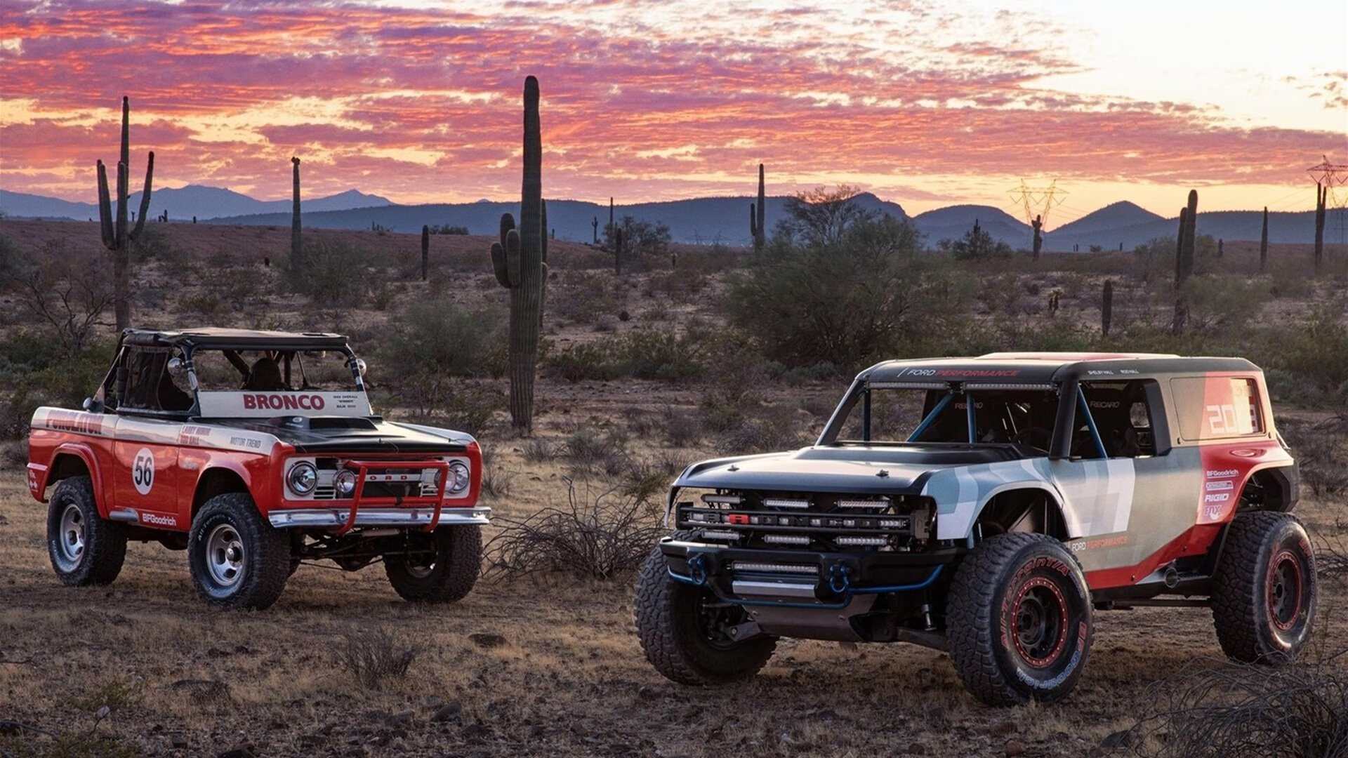 天山铁骑封锁骑士，利拉德淬火冠军之心