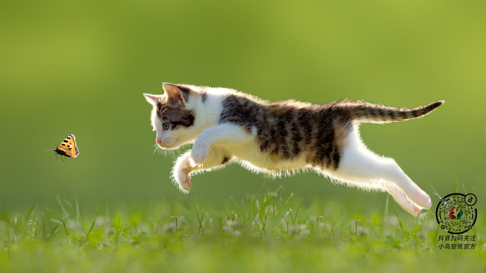 锁链与利刃,利拉德攻防一体锁死步行者,开拓者捍卫主场