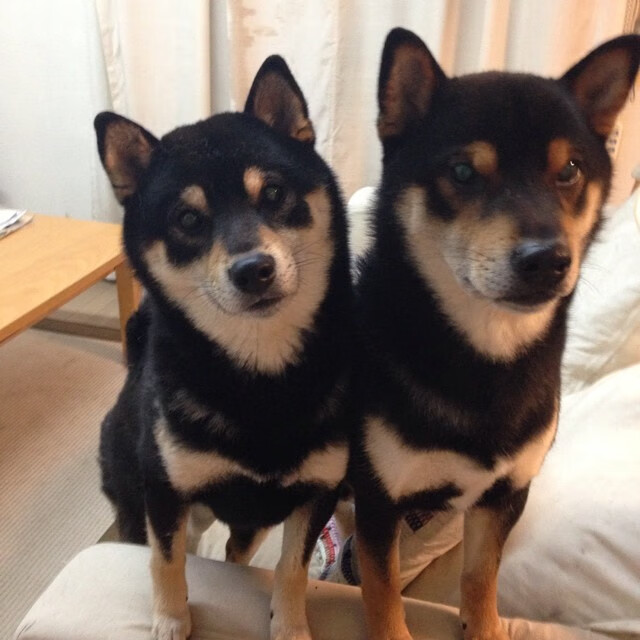 代码觉醒,当莱奥在虚拟战场一手掌控,委内瑞拉数据流斩落国际米兰