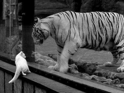 国家德比战术新纪元，从西班牙战火到摩纳哥的压制哲学