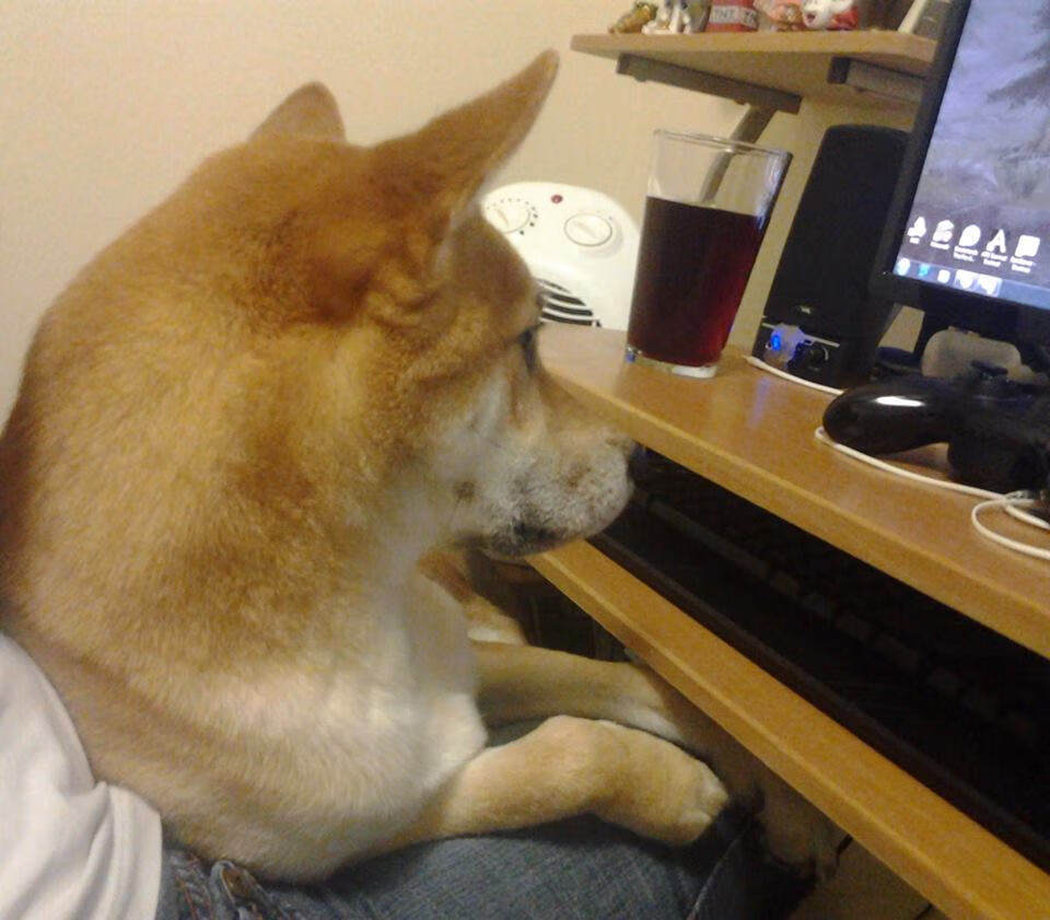 战术的枷锁与英雄的钥匙，从阿森纳到东决的竞技哲学