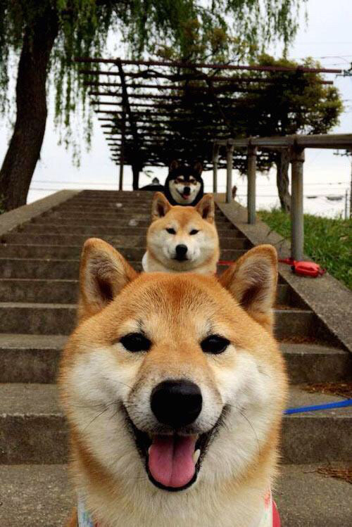 莫兰特狂飙呼应辽宁断电战术，巨星爆发与团队统治的胜利密码