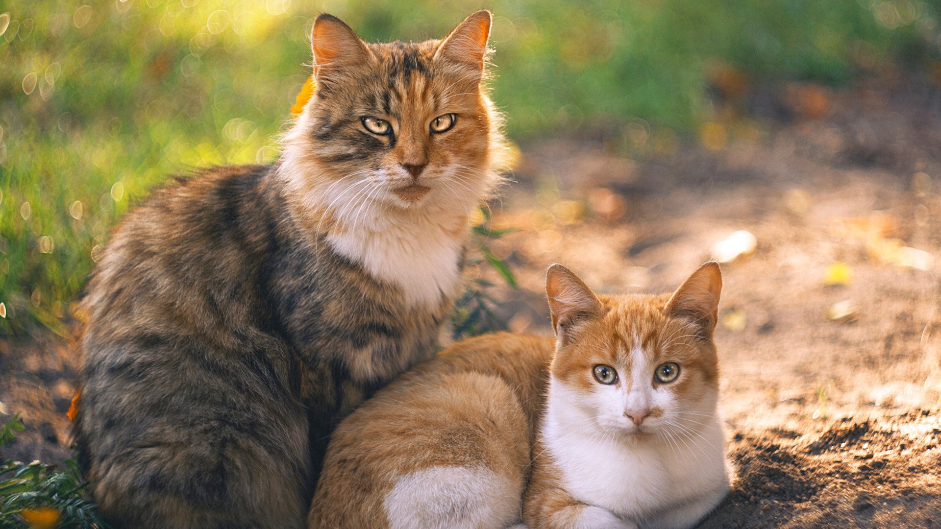 跨界冲突，尼日利亚封锁阿森纳如何映照西甲国家德比焦点战