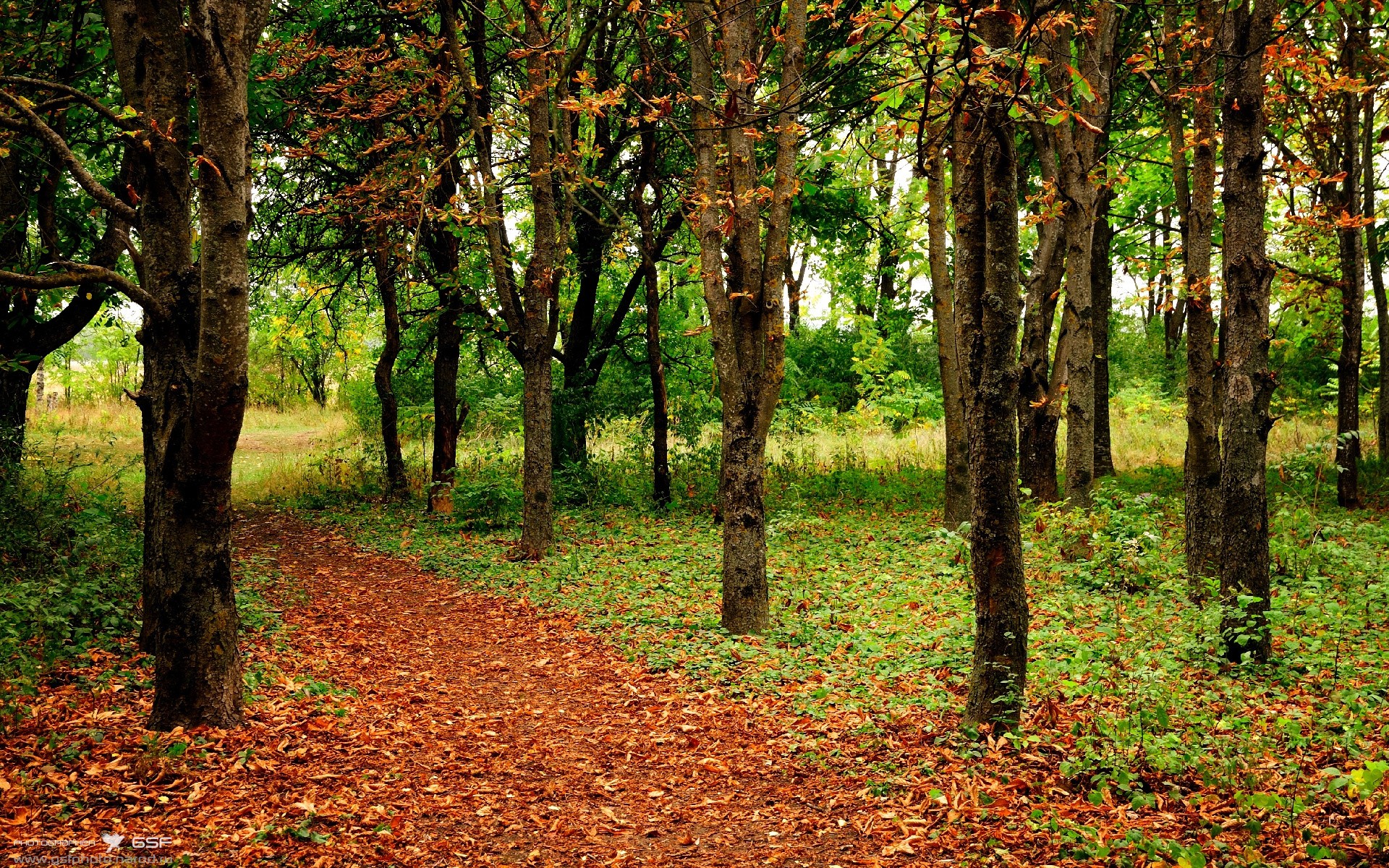 冰火之歌,比利时新生代熔断德国战车,马丁内利高能演绎未来序曲