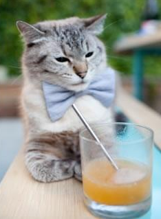 当潘帕斯遇见加勒比，弗拉霍维奇的欧洲之光与巴拉圭的南美铁锤